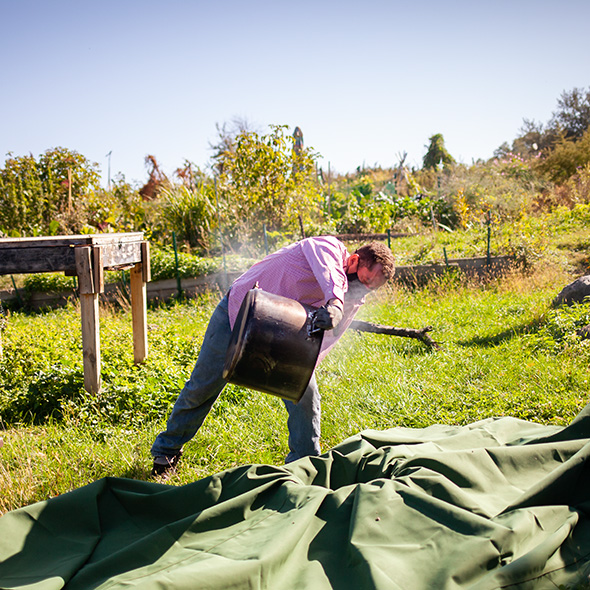 A person working in a field