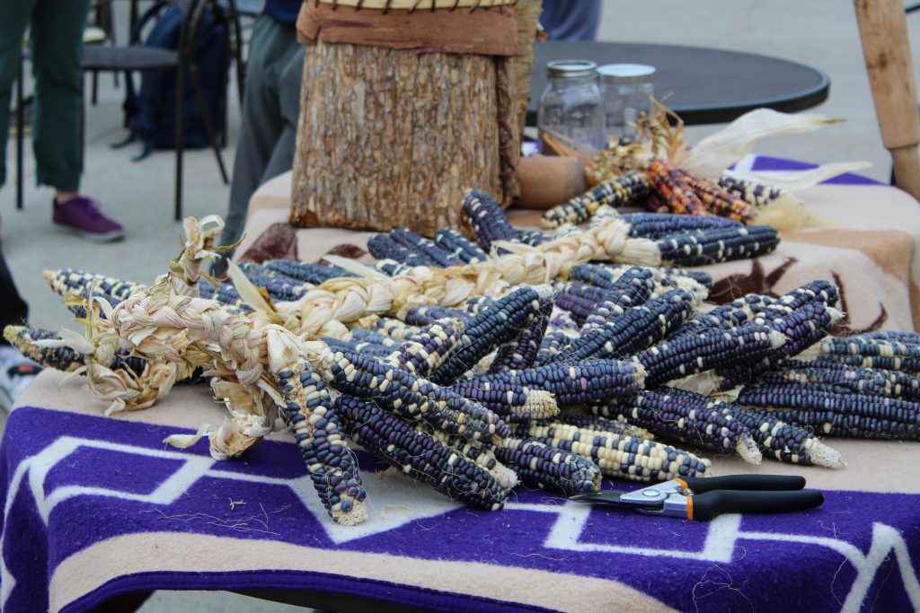 Pile of corn