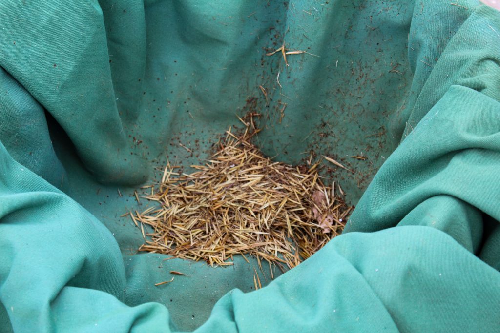 Plant matter on fabric